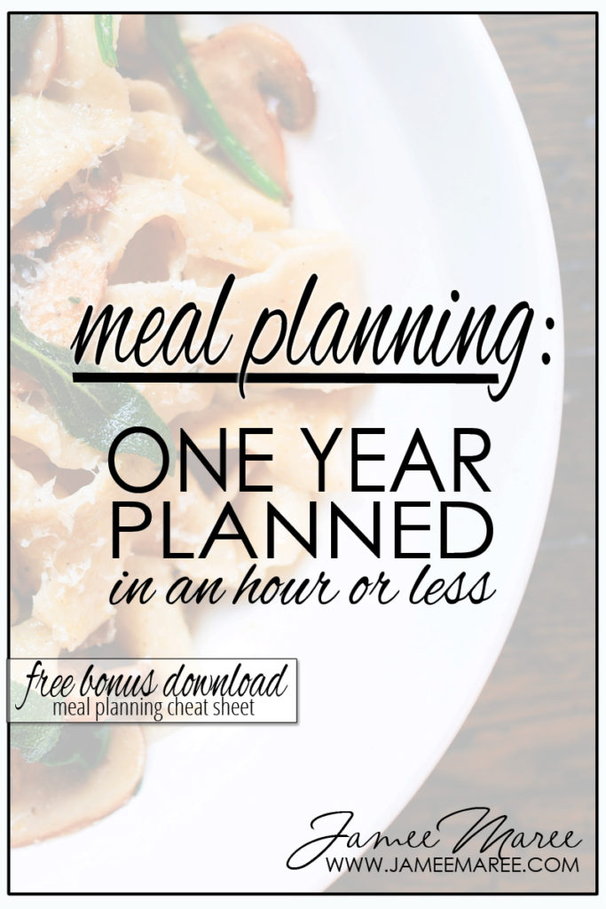 http://www.jameemaree.com/wp-content/uploads/2017/01/meal-planning-one-year-683x1024.jpg
